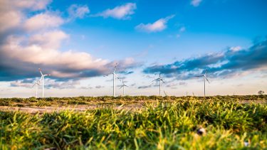 wind-farm-1209335_1920