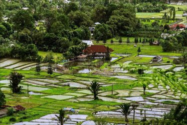 tomohon-sulawesi