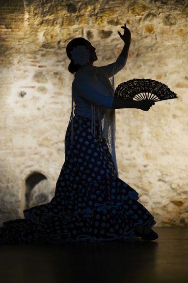 flamenco