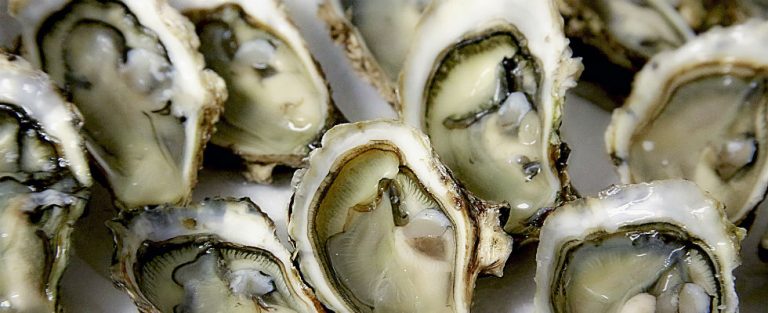 Pas op voor de Japanse oester