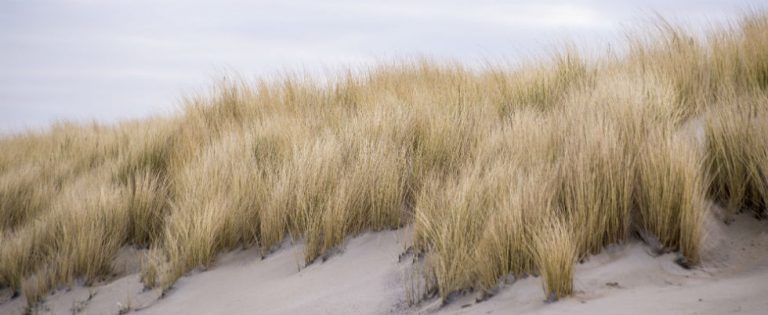 Uitwaaien op Texel