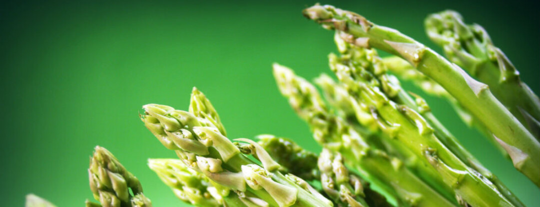 Brabants asperge arrangement