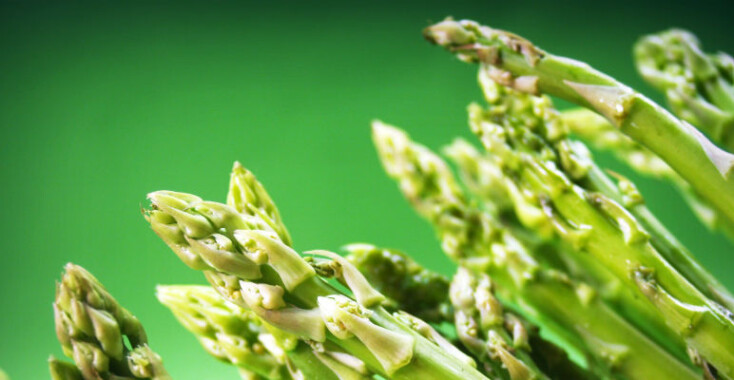 Brabants asperge arrangement