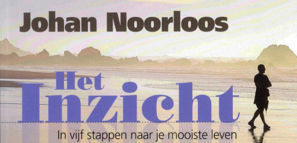 Het inzicht – Johan Noorloos