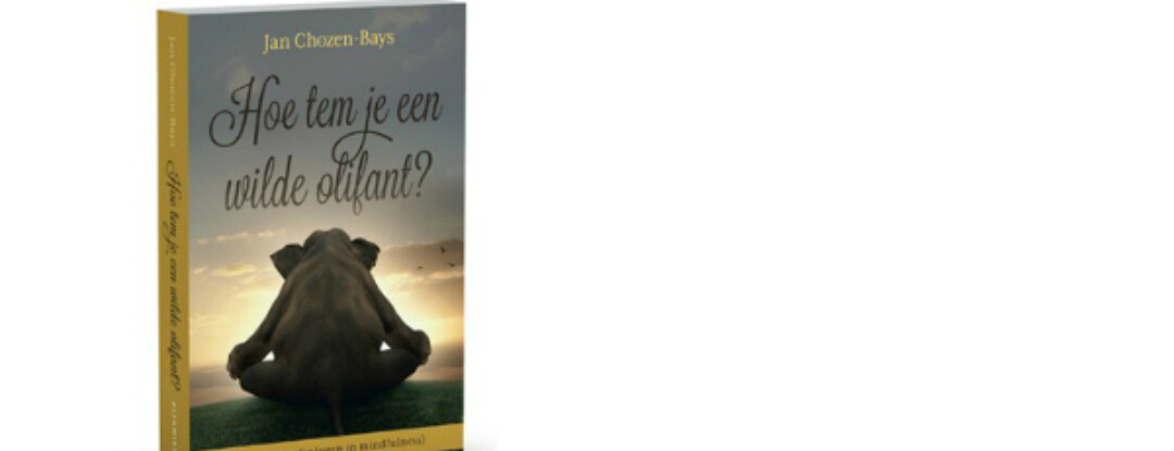 Hoe tem je een wilde olifant? – Jan Chozen-Bays