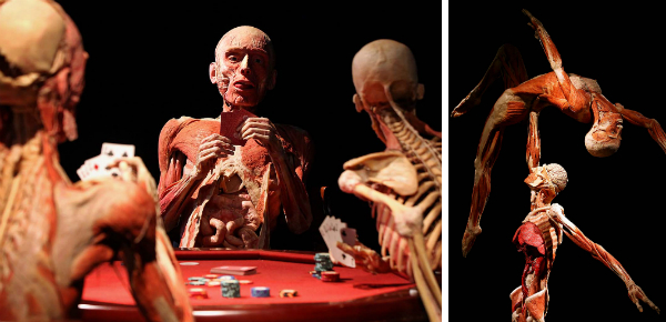 Body Worlds: tentoonstelling onder de huid