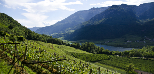 Zuid-Tirol: De kleinste wijnregio van Italië