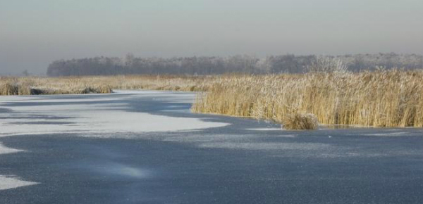 Natuurliefhebbers opgelet!