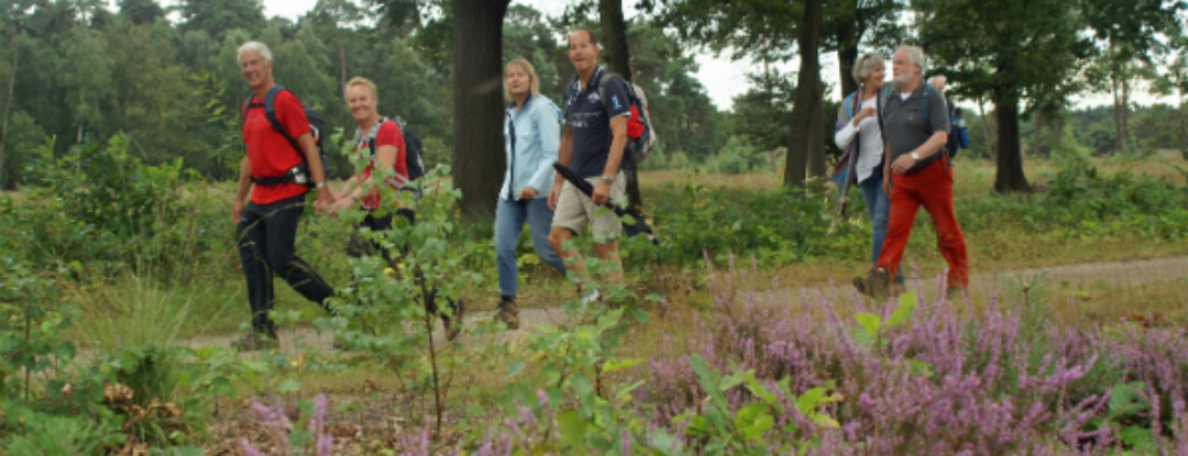 Een omtrek van hei, bos en vallei – wandel mee!
