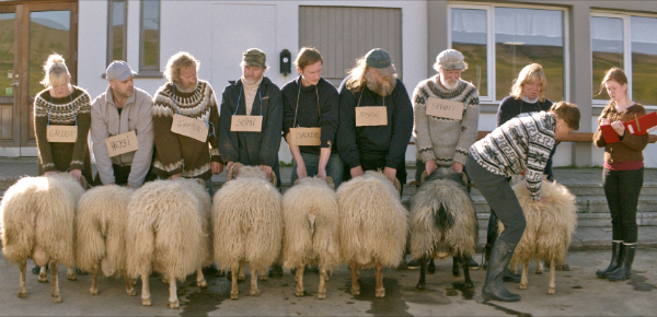 Twee koppige broers en hun schapen