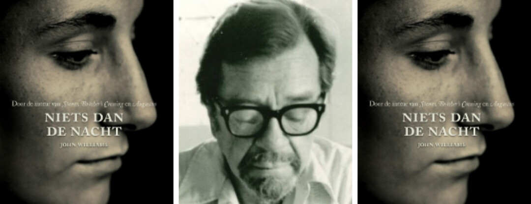 John Williams: Schrijver in wording