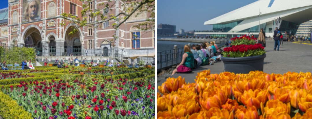 Proef de lente, bezoek de tulpenstad