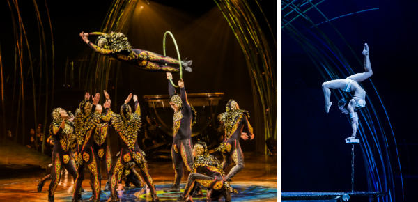 Met korting naar Amaluna van Cirque du Soleil!