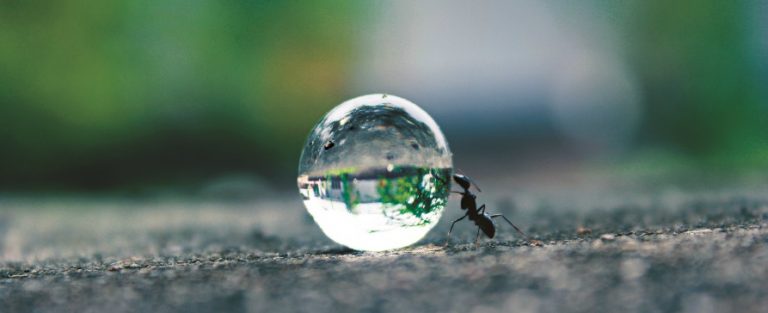 Stilmakende natuurfoto’s