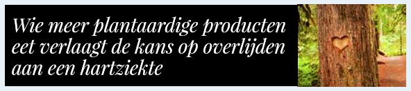 Gezondheidstips Zin-boek plantaardig