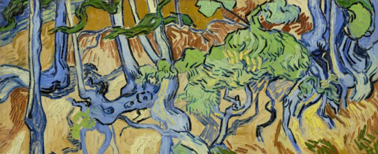 Kruip in Van Goghs brein