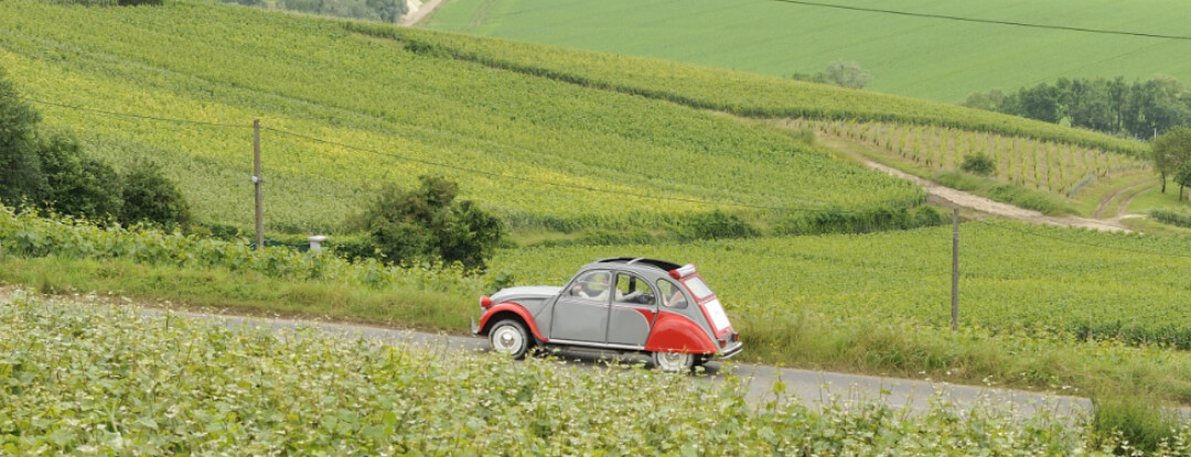 Roadtrip door de champagnestreek