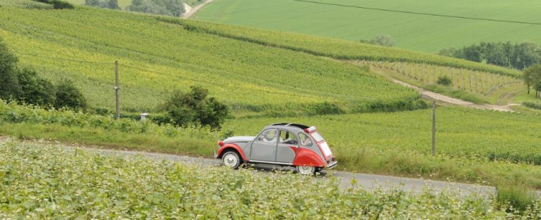 Roadtrip door de champagnestreek