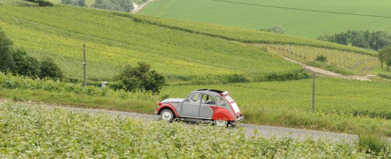 Roadtrip door de champagnestreek