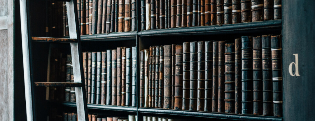 Dit is dé <em>place to be</em> voor boekenwurmen