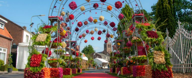 Zomertip: zwemmen in een bloemenzee