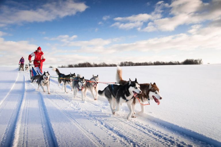 Droomvakantie naar Fins Lapland