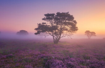 De mooiste foto’s van Nederland