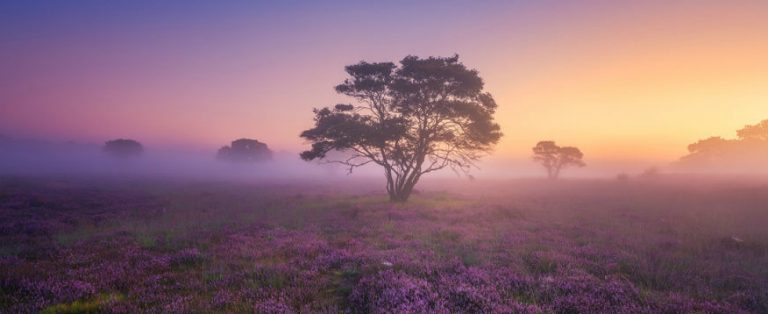 De mooiste foto’s van Nederland