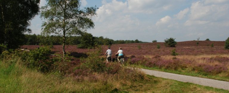 6x eropuit in de Gelderse streken!