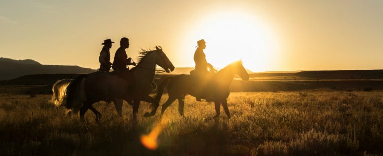 The Magnificent Seven een must see filmremake!