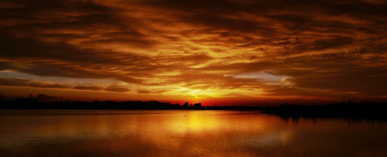 Ontdek de schoonheid van de Haarrijnseplas