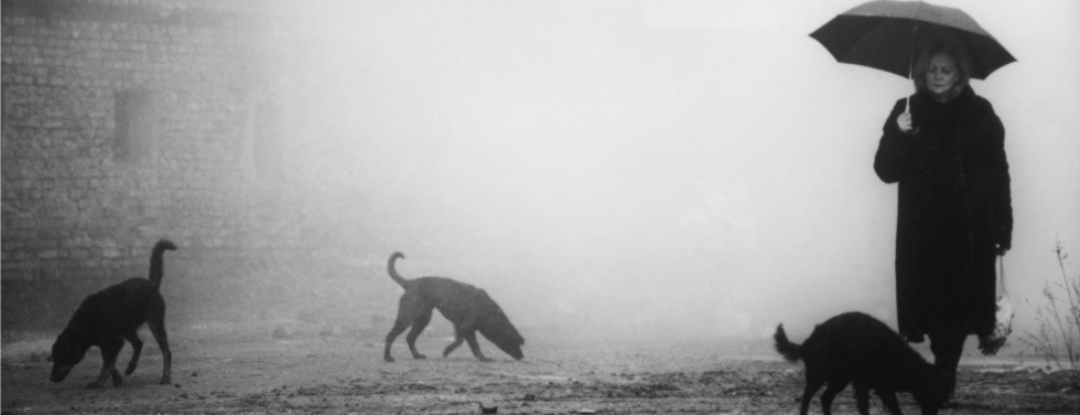 Werk Béla Tarr te zien in EYE