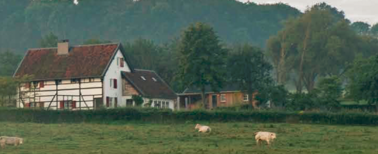 Actief onthaasten in Zuid-Limburg