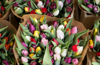 De bloemetjes buiten zetten