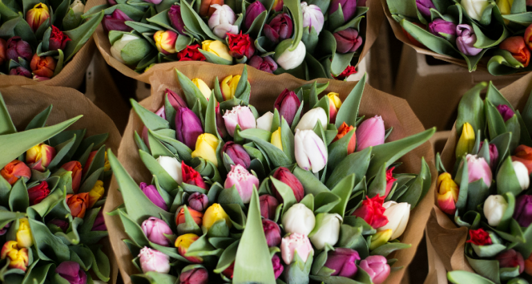 De bloemetjes buiten zetten