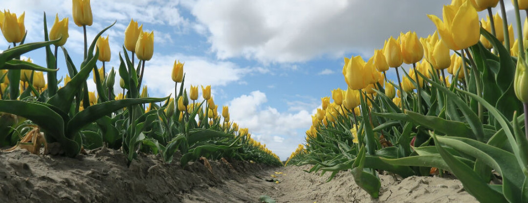 Op ontdekkingsreis naar Beek