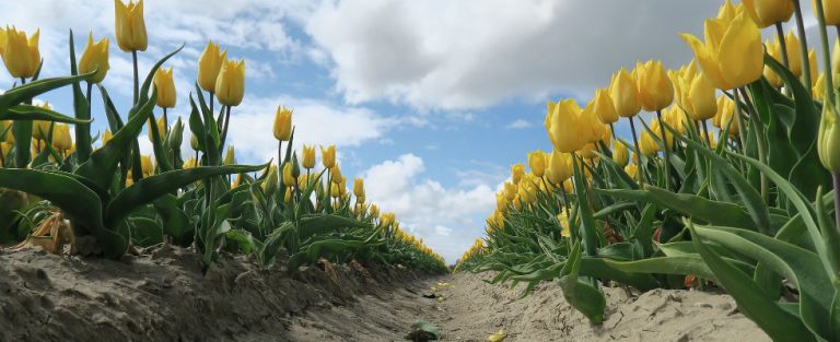 Op ontdekkingsreis naar Beek