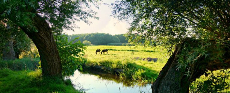 Eropuit naar het Achterhoekse Almen