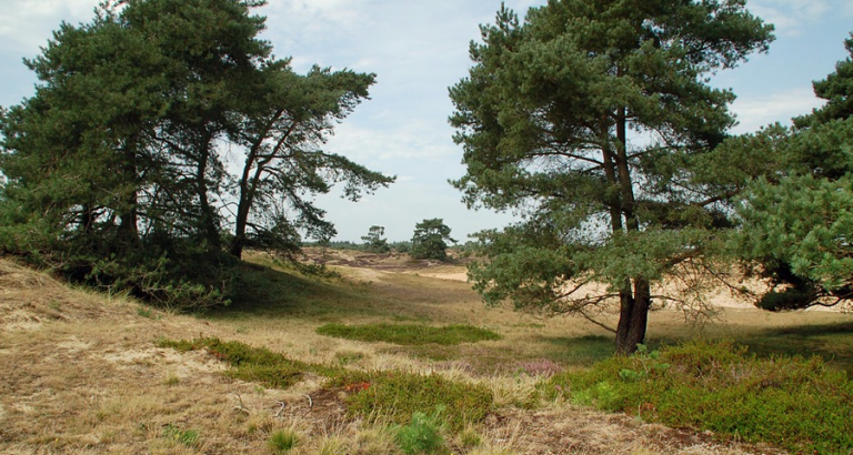 3 dagen genieten in Drenthe