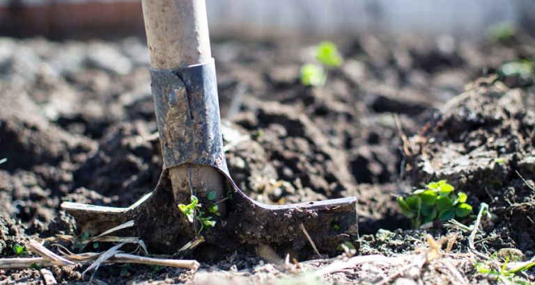 YES! Ik moet weer naar de moestuin