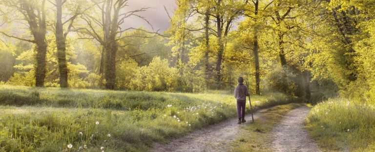 Wandelen is goed voor lijf en geest