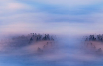 De mist in gaan