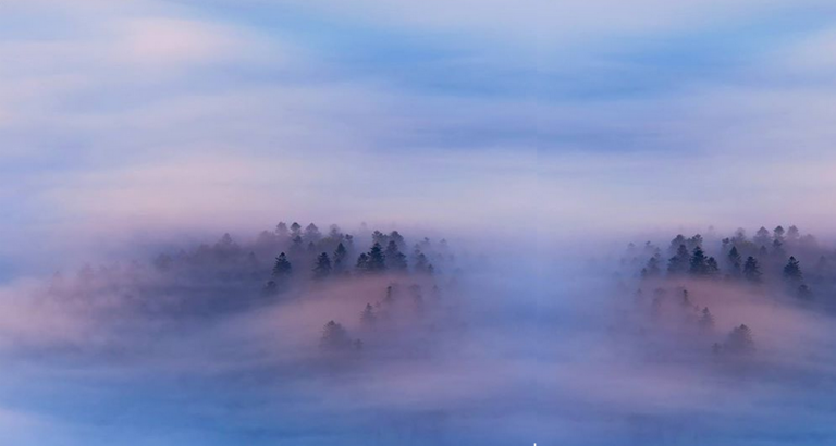 De mist in gaan