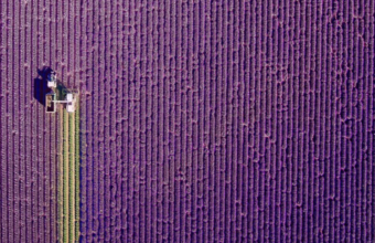 Dronografie: de mooiste luchtbeelden