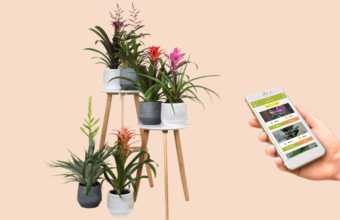 Met een app je planten water geven