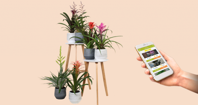 Met een app je planten water geven