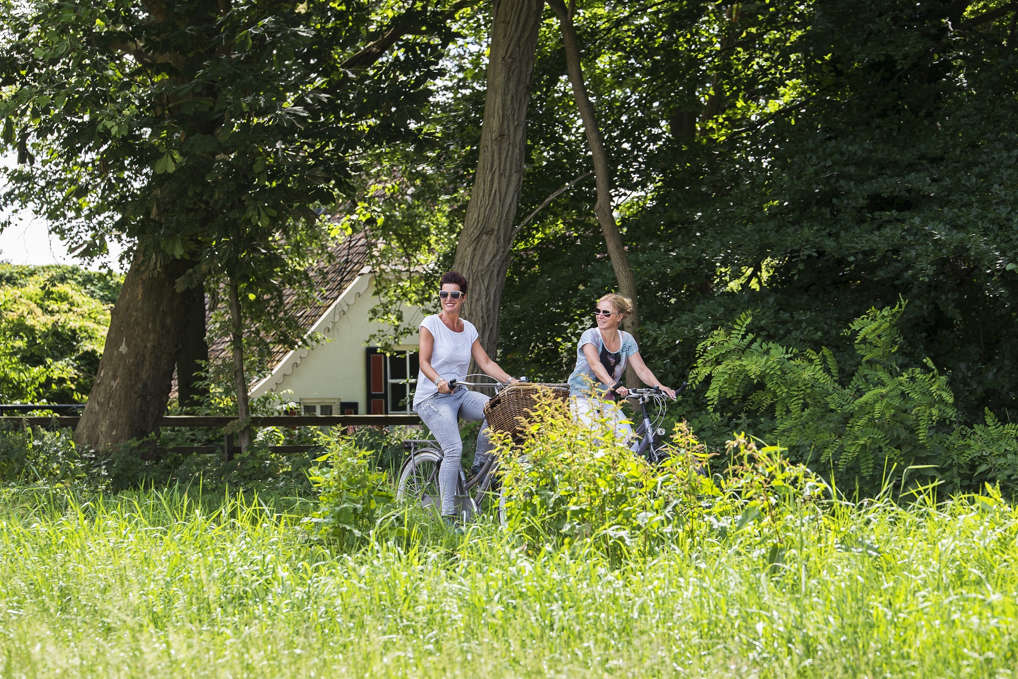 Gelderse Streken