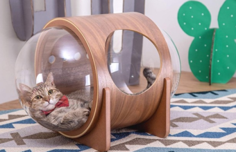 Stuur je kat de ruimte in