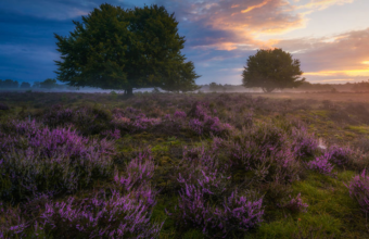 Deze foto’s van Nederland moet je zien