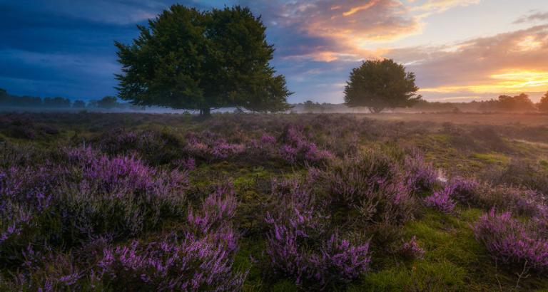 Deze foto’s van Nederland moet je zien